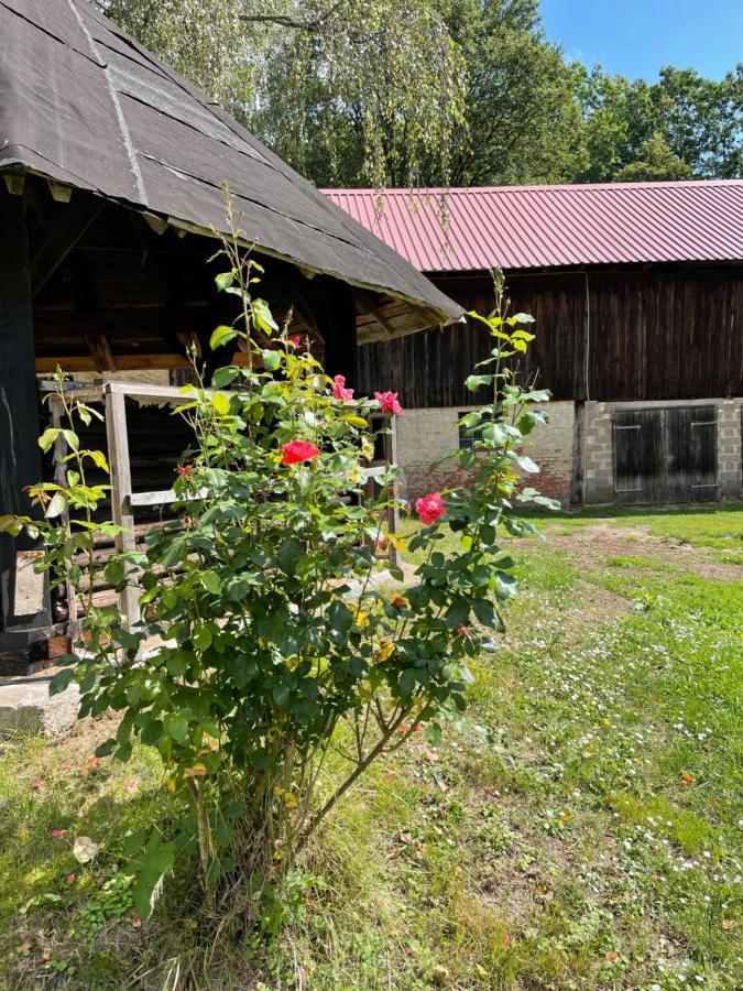 NiddaSchellnhof Forsthaus Am Waldrandアパートメント エクステリア 写真